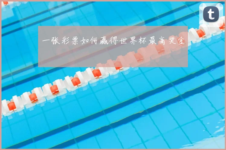 一张彩票如何赢得世界杯最高奖金