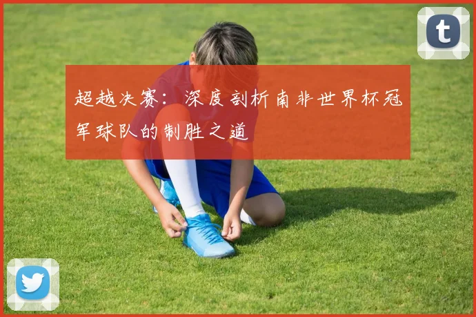 超越决赛：深度剖析南非世界杯冠军球队的制胜之道