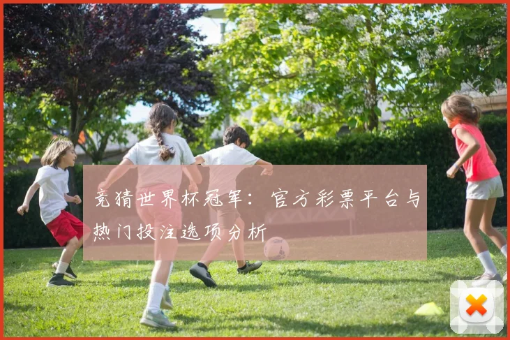竞猜世界杯冠军：官方彩票平台与热门投注选项分析