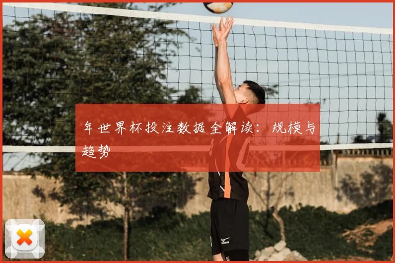 年世界杯投注数据全解读：规模与趋势