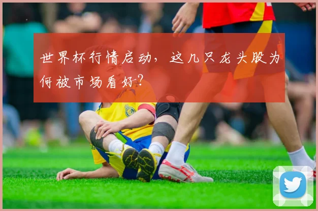 世界杯行情启动,这几只龙头股为何被市场看好?