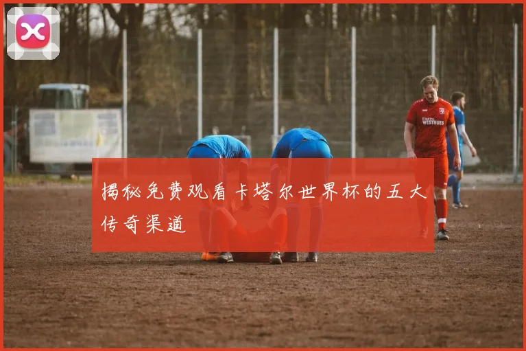揭秘免费观看卡塔尔世界杯的五大传奇渠道